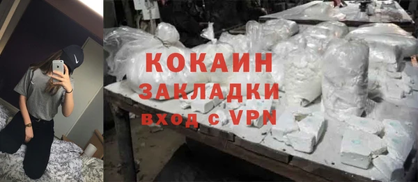 прущие грибы Верхний Тагил