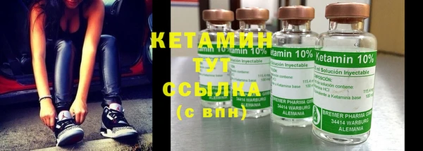 прущие грибы Волосово