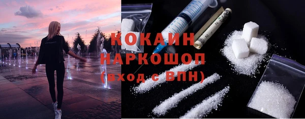 прущие грибы Верхний Тагил