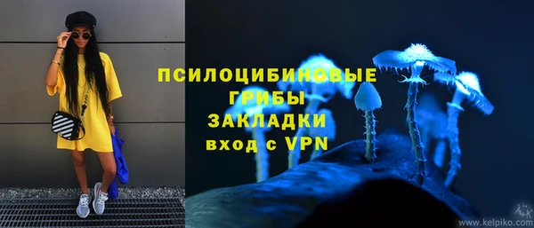 прущие грибы Верхний Тагил