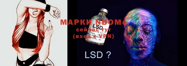прущие грибы Волосово