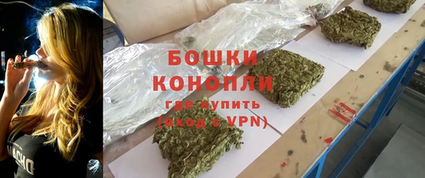 прущие грибы Волосово