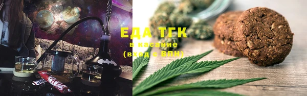 прущие грибы Верхний Тагил